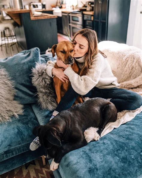 NORTH SHORE ANIMAL LEAGUE (@animalleague.lovers).